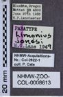 Etiketten zu Limonius jonesi (NHMW-ZOO-COL-0008613)